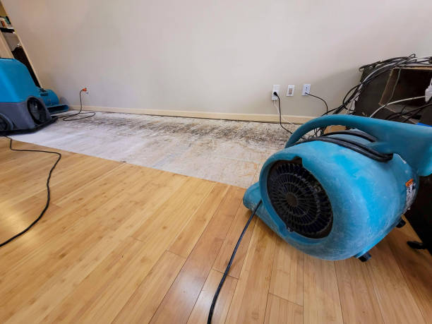 Professional Structural Drying technician working in Roosevelt, NY